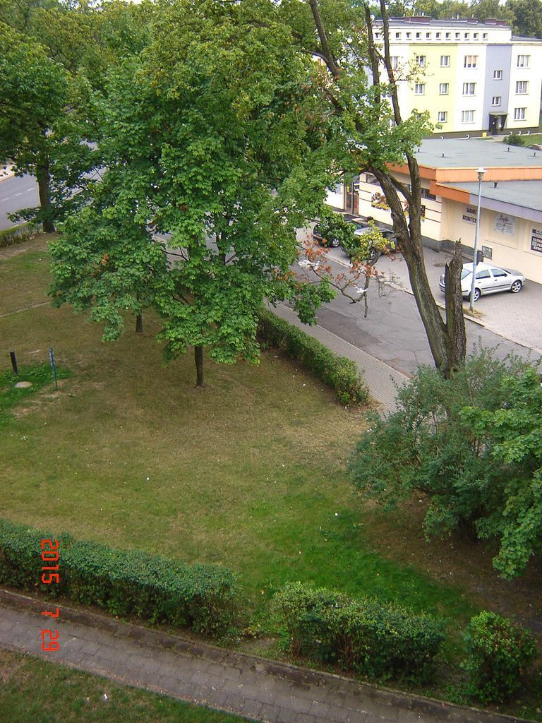 Przy ulicy Spółdzielczej