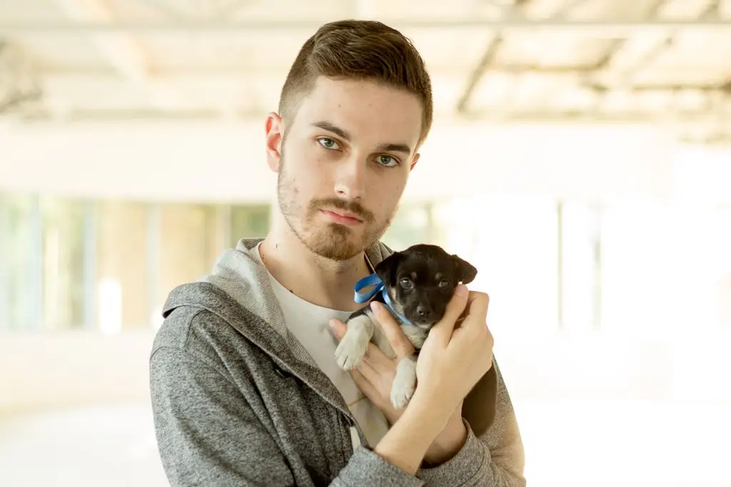 Pieski do adopcji