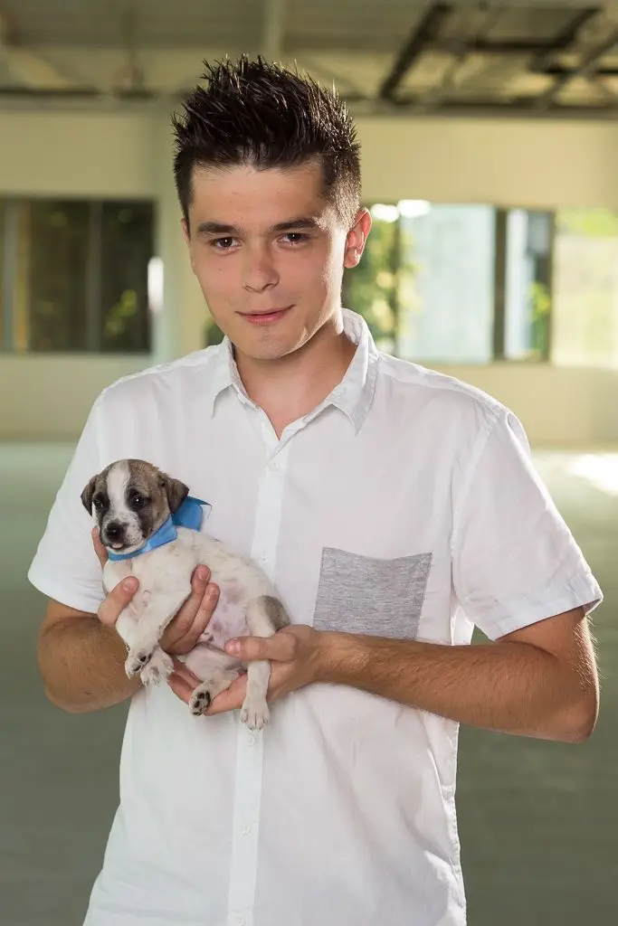 Pieski do adopcji