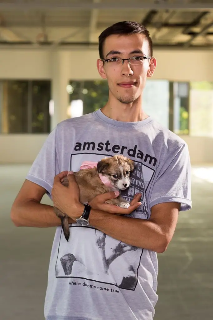 Pieski do adopcji