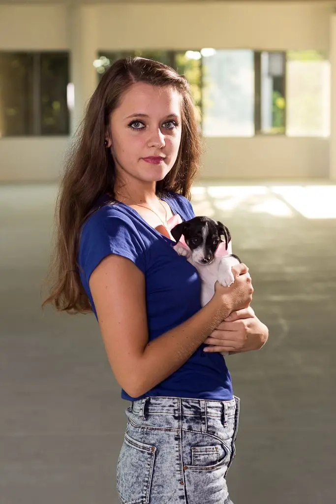Pieski do adopcji