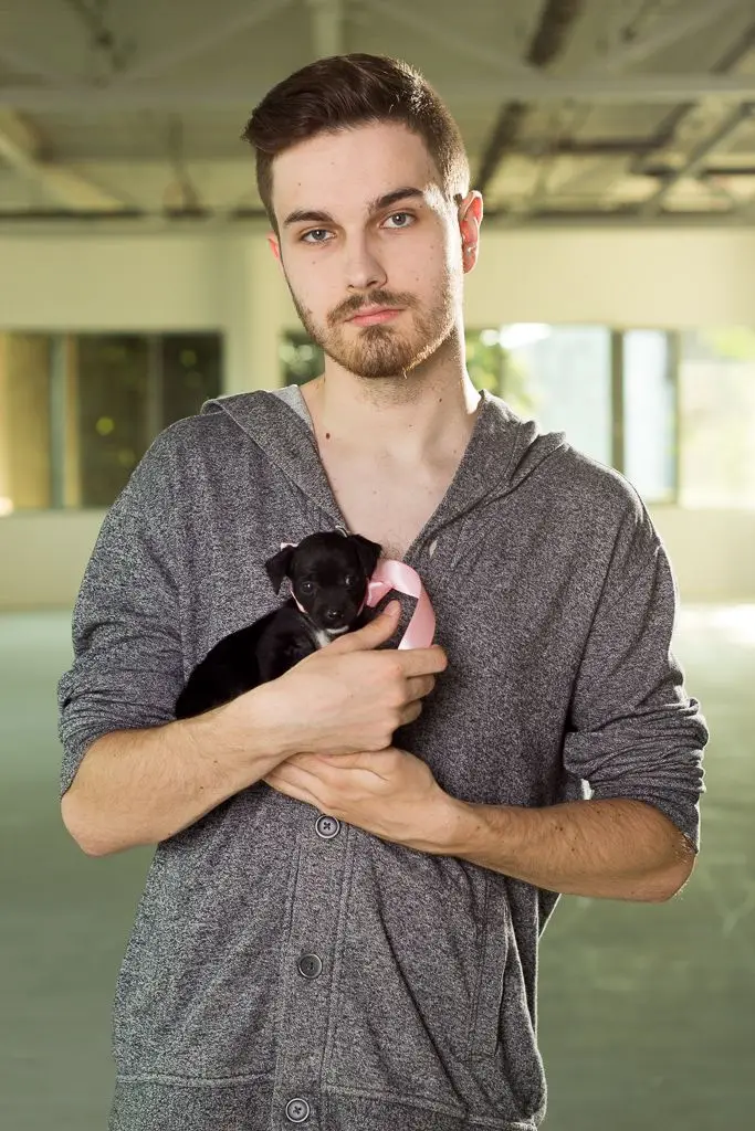 Pieski do adopcji