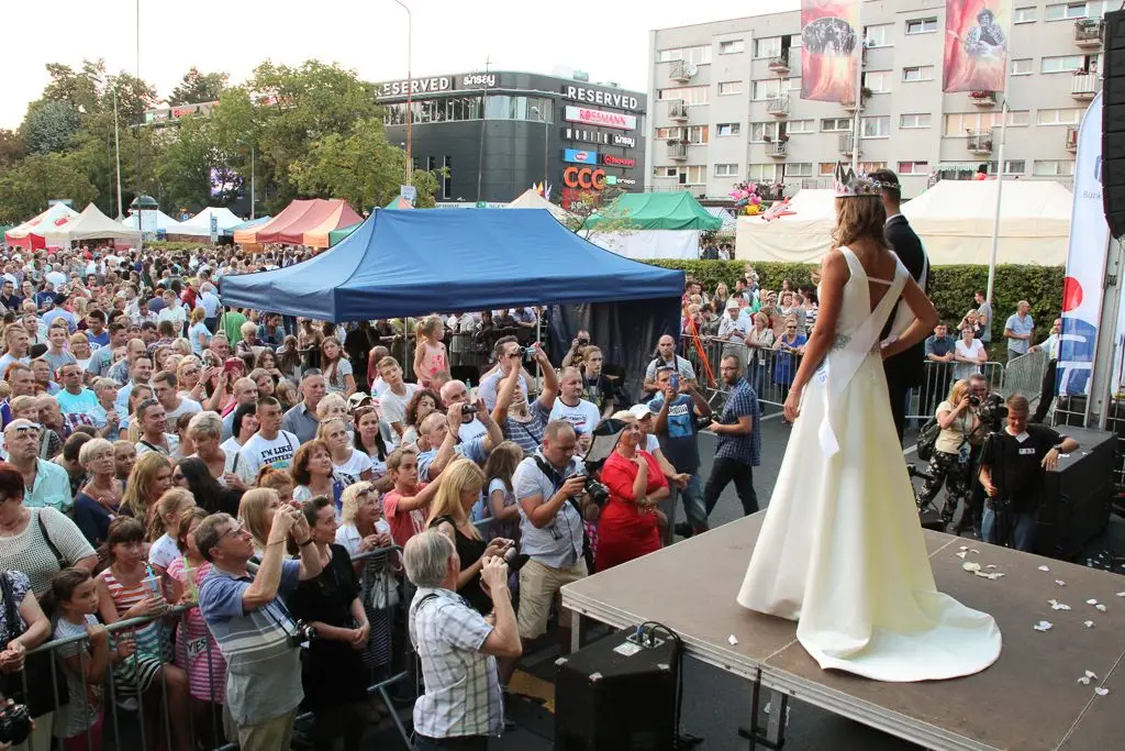 Konkurs na Miss i Mistera Święta Ceramiki