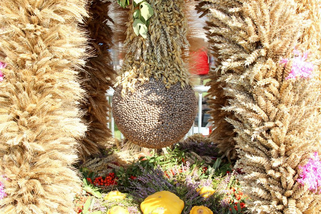 Dożynki 2015 w Żeliszowie