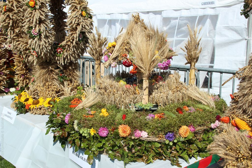 Dożynki 2015 w Żeliszowie