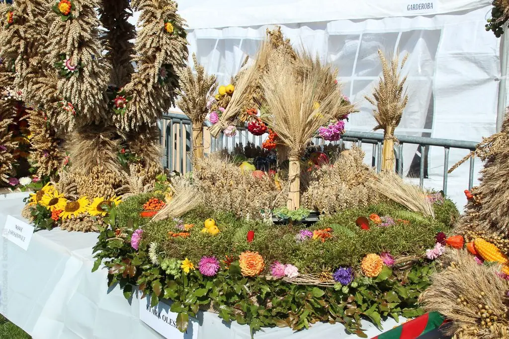 Dożynki 2015 w Żeliszowie
