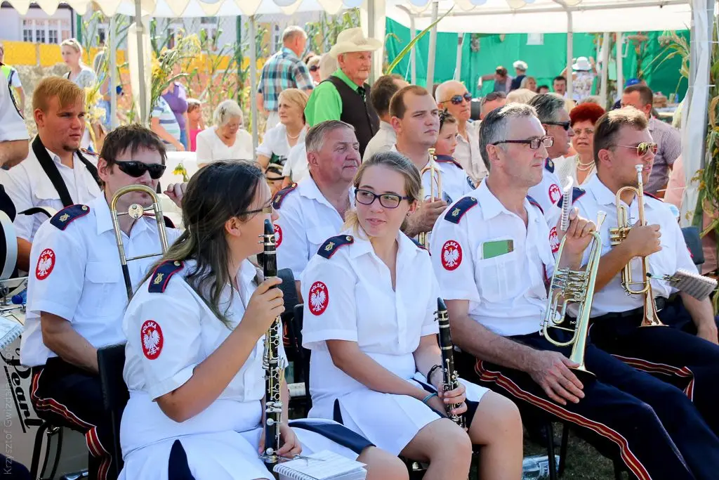 Dożynki 2015 w Żeliszowie