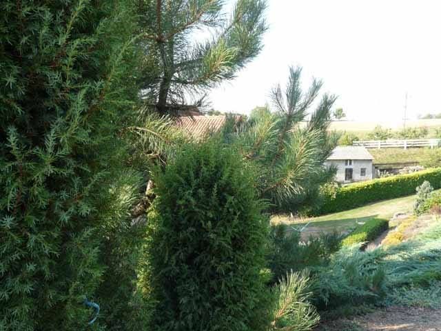 Znamy laureatki powiatowego konkursu na najładniejszą zagrodę