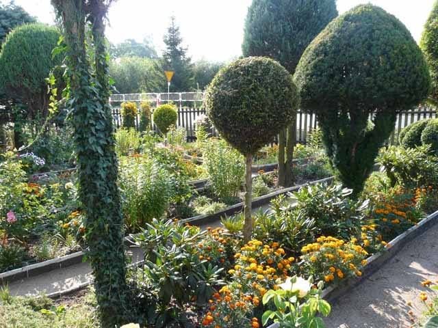 Znamy laureatki powiatowego konkursu na najładniejszą zagrodę