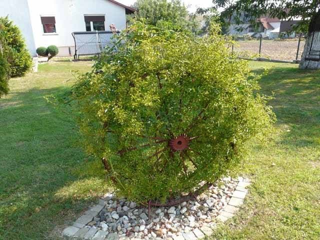Znamy laureatki powiatowego konkursu na najładniejszą zagrodę