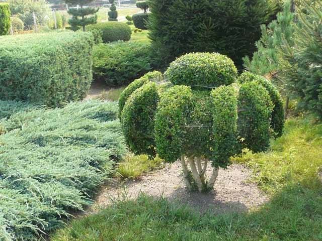 Znamy laureatki powiatowego konkursu na najładniejszą zagrodę