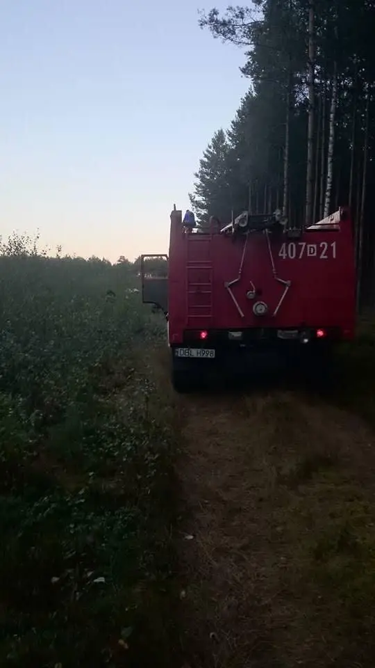 Pożar lasu w Krzyżowej