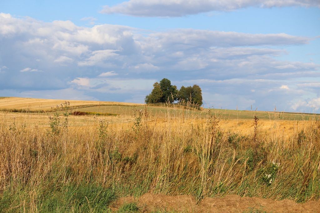 BKS w drugiej rundzie Okręgowego Pucharu Polski