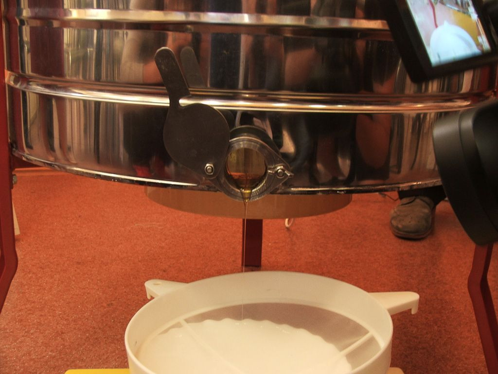 Chobienia. Kraina miodem płynąca