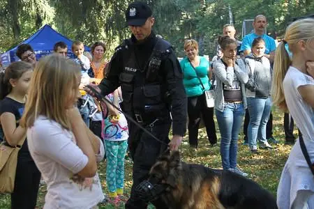 Festyn w Kowarach z udziałem policyjnego psa Cairo