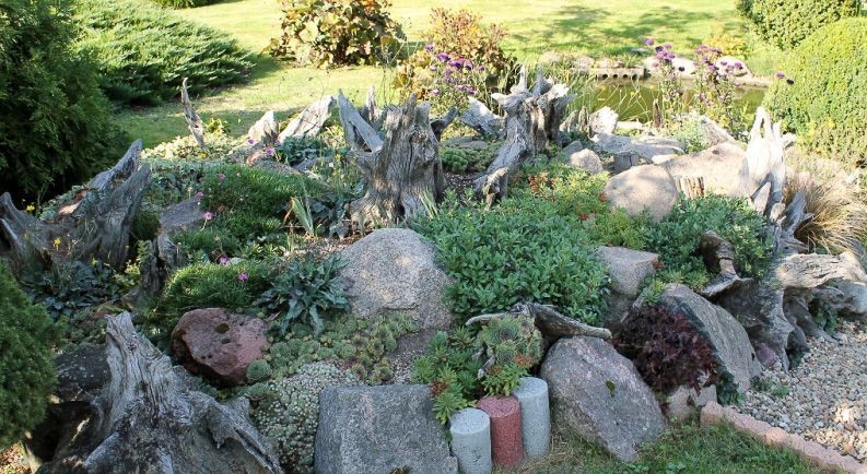 Najpiękniejszy ogród w Starej Rudnej