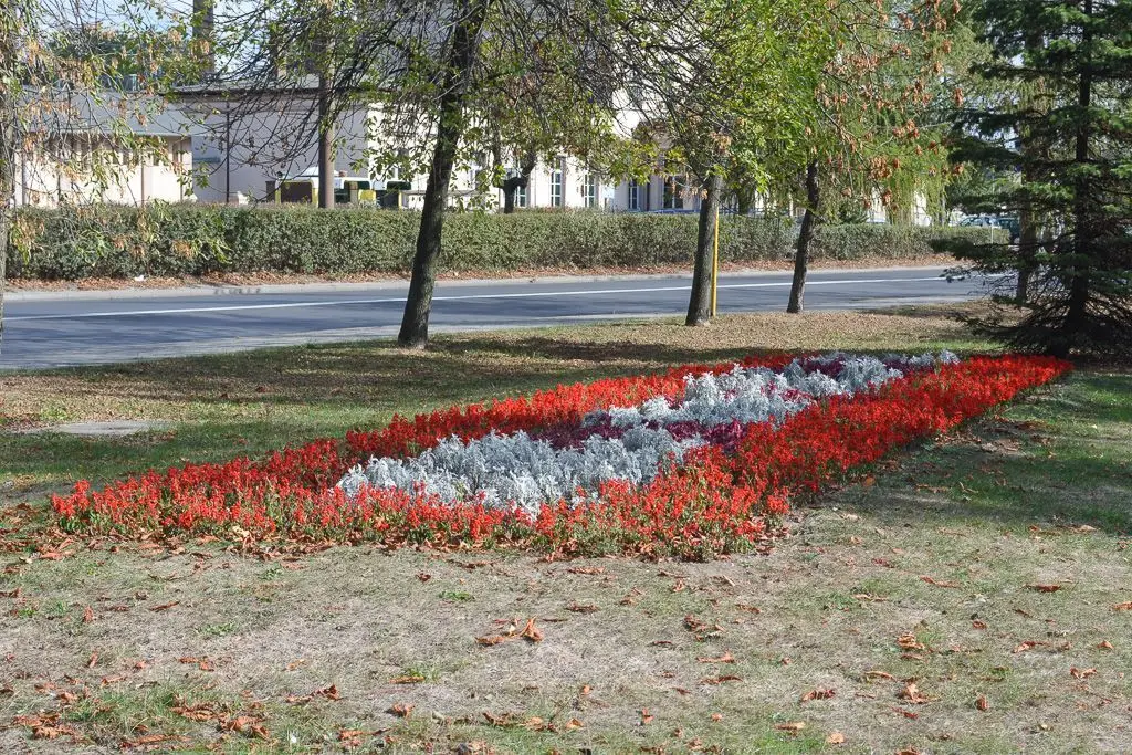 Patriotycznie na placu Wolności