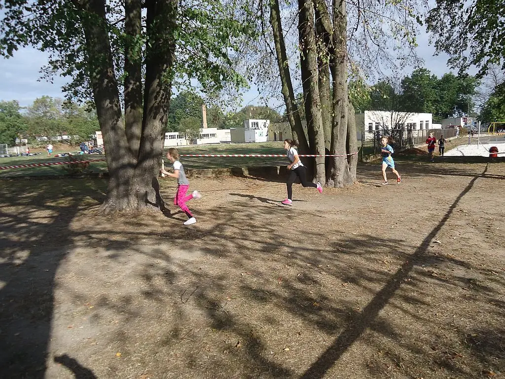 SP nr 4, GS nr 1, I LO i ZSE najlepsze