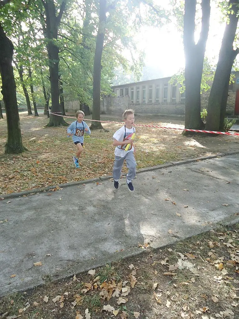 SP nr 4, GS nr 1, I LO i ZSE najlepsze