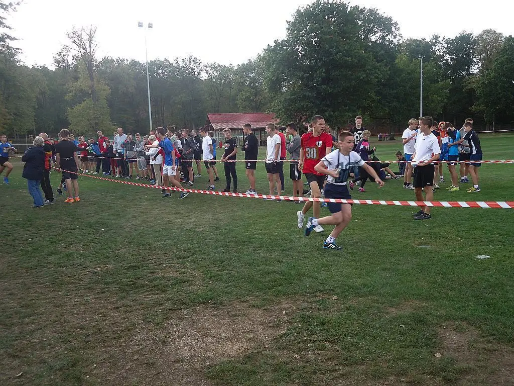 SP nr 4, GS nr 1, I LO i ZSE najlepsze