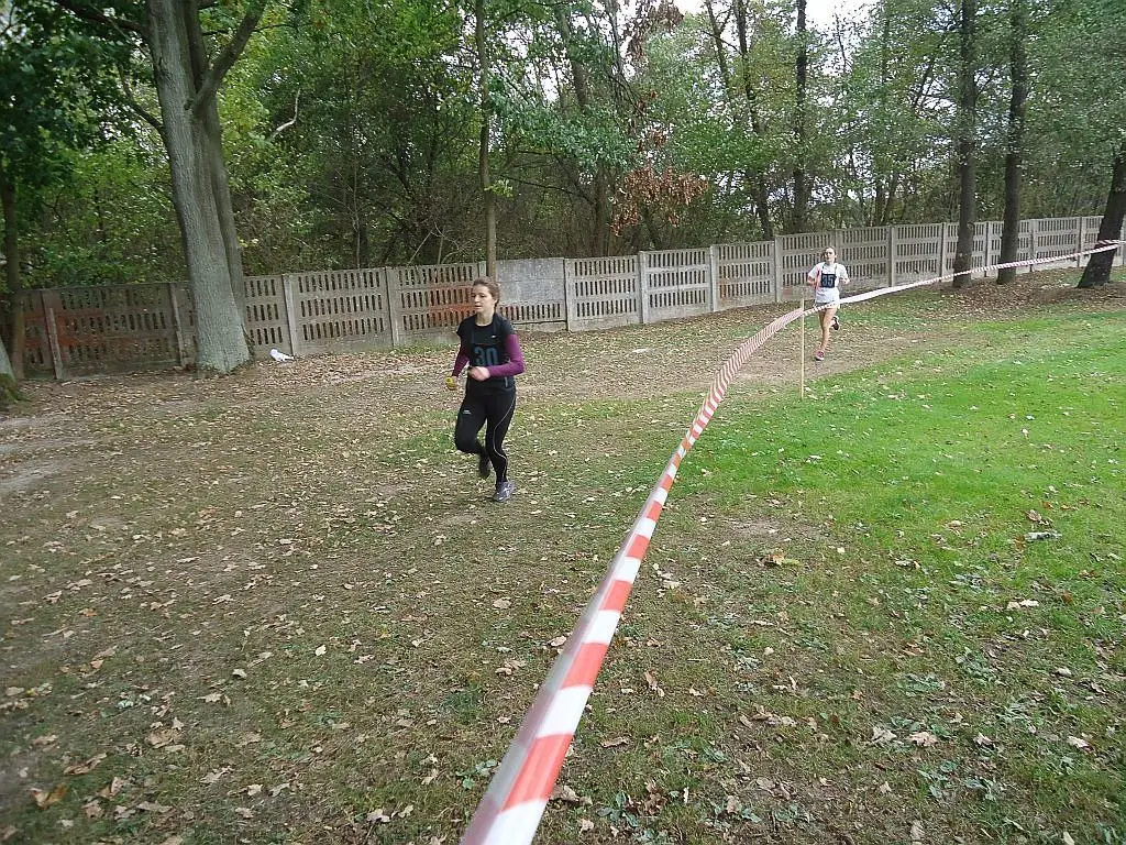SP nr 4, GS nr 1, I LO i ZSE najlepsze