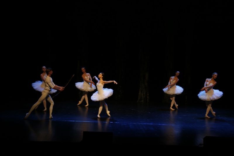 Jezioro łabędzie w Forum