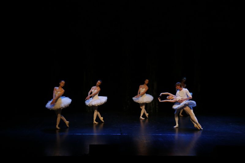 Jezioro łabędzie w Forum