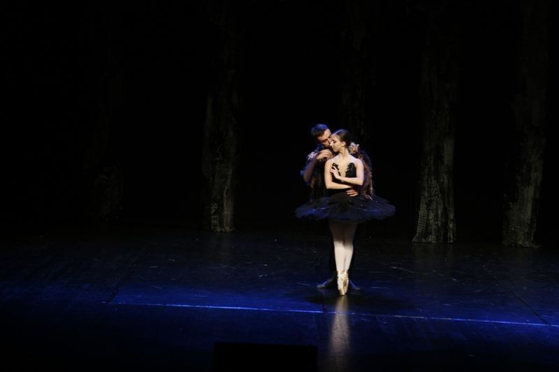 Jezioro łabędzie w Forum