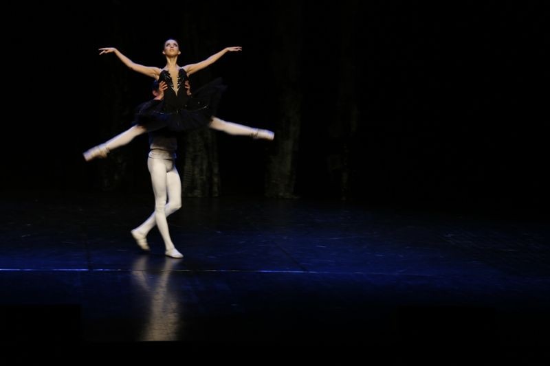 Jezioro łabędzie w Forum