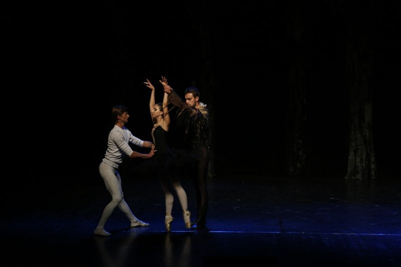 Jezioro łabędzie w Forum