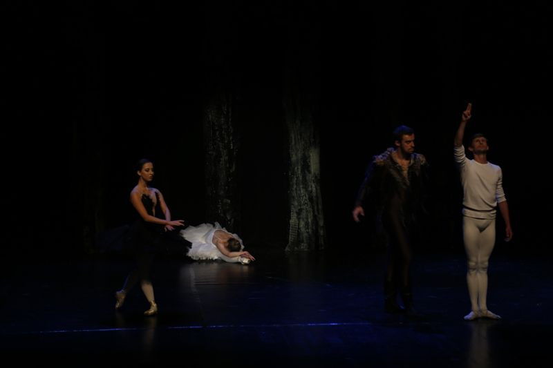 Jezioro łabędzie w Forum