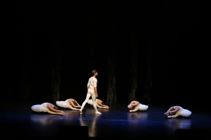 Jezioro łabędzie w Forum