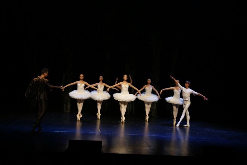 Jezioro łabędzie w Forum