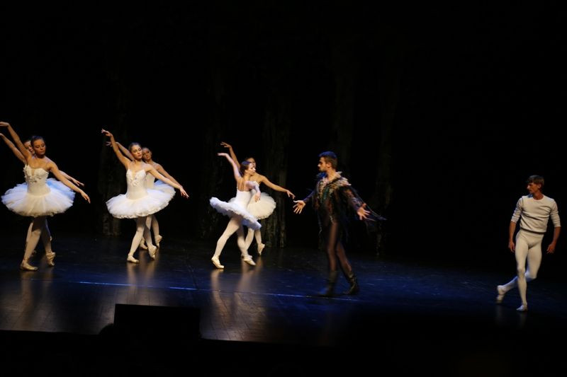 Jezioro łabędzie w Forum