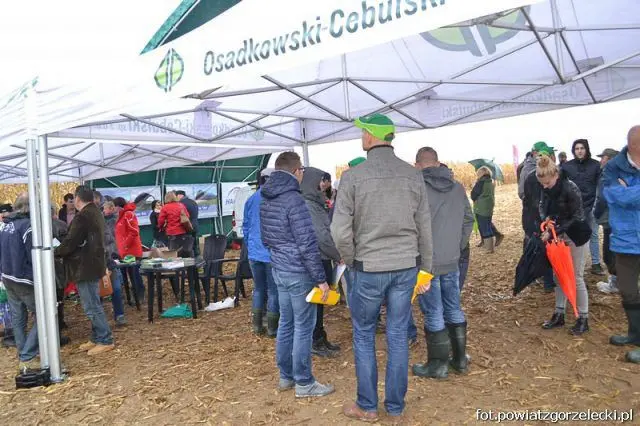 Dni Kukurydzy