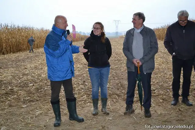 Dni Kukurydzy