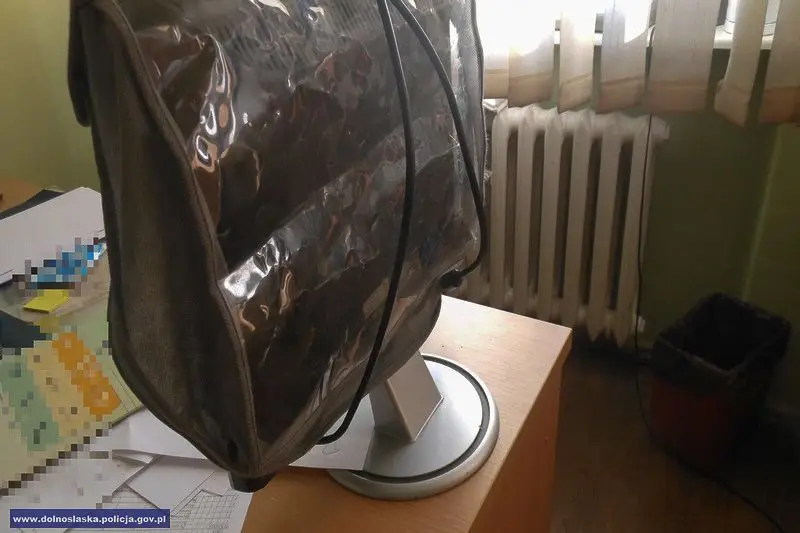 Grupa włamywaczy rozbita przez policjantów