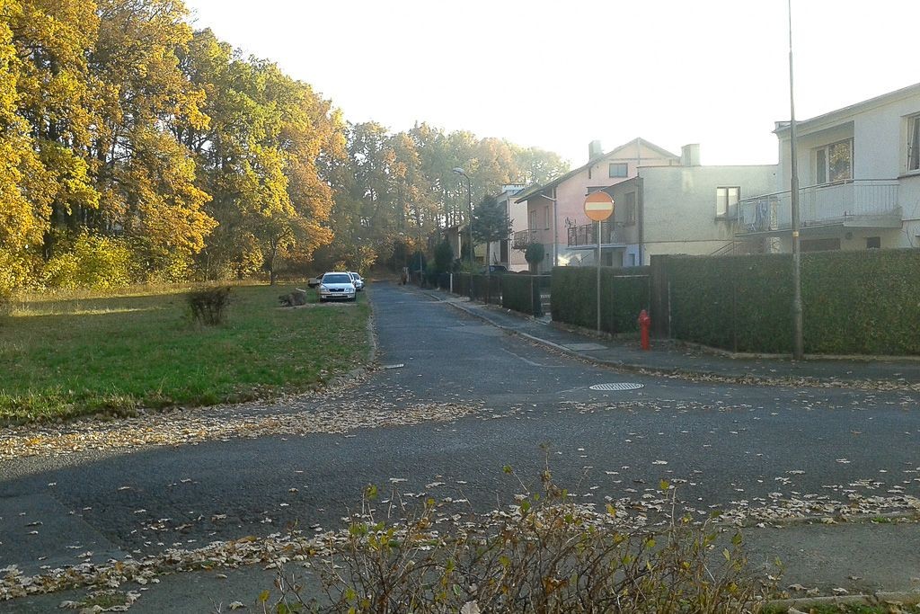 Zadymienie w Bolesławcu