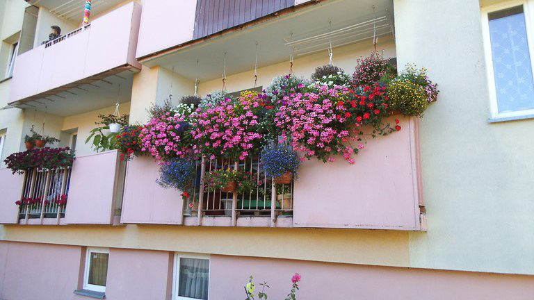 Znamy laureatów konkursu „Bolesławiec w kwiatach”