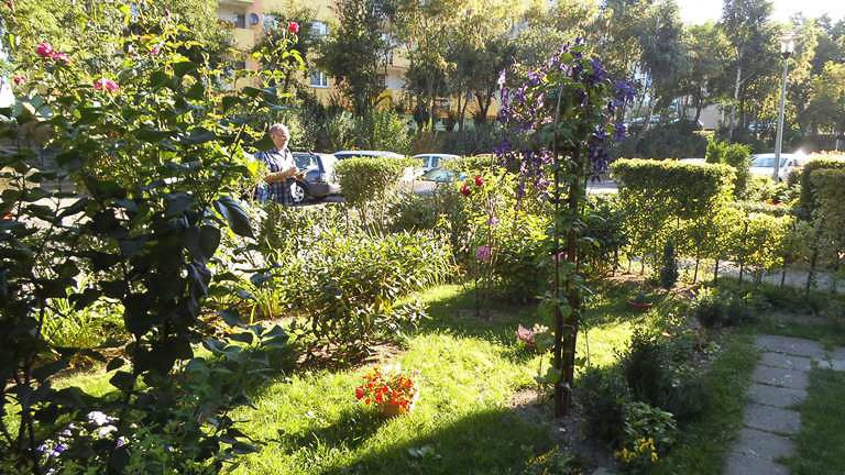 Znamy laureatów konkursu „Bolesławiec w kwiatach”