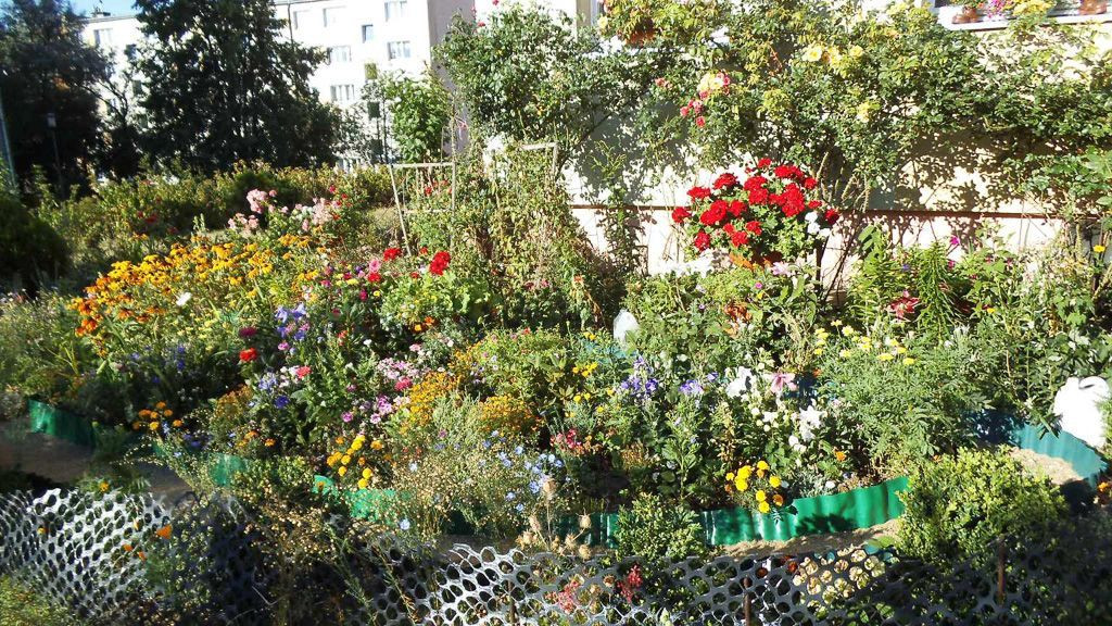 Znamy laureatów konkursu „Bolesławiec w kwiatach”