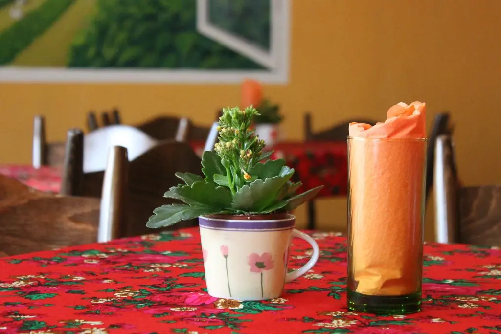 Bar Babcine Smaki - prawdziwie domowe jedzenie