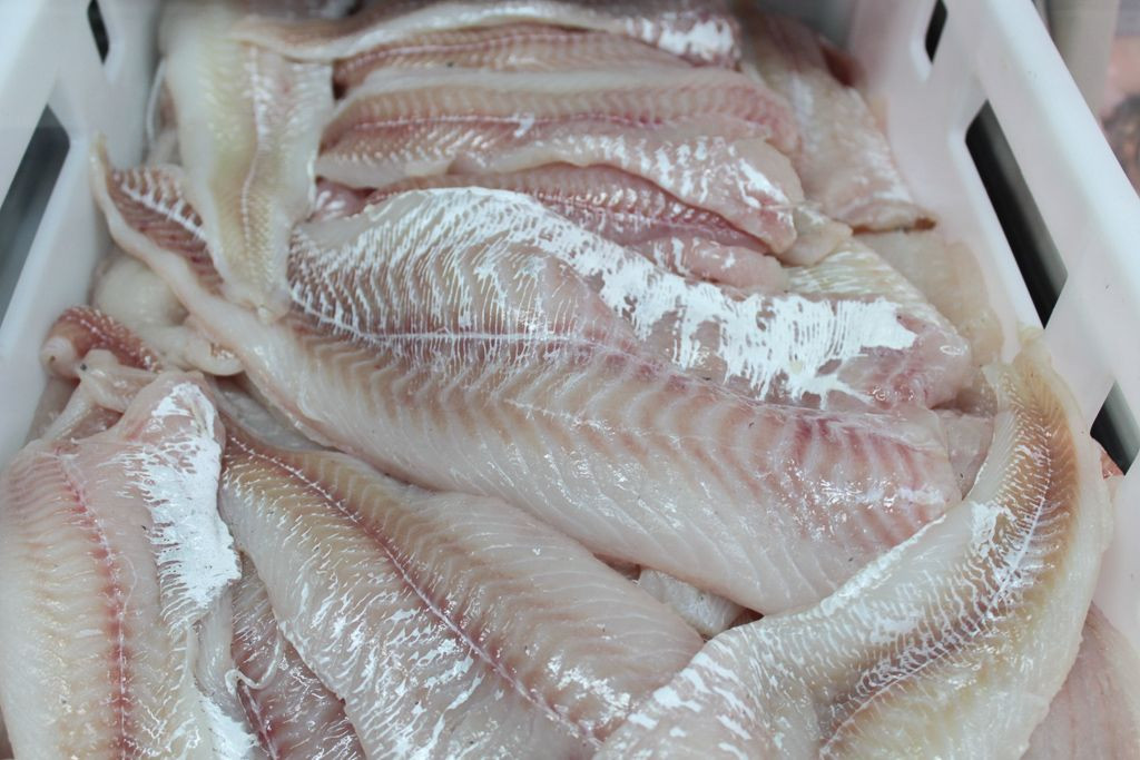 Ryby prosto z morza w Bolesławcu