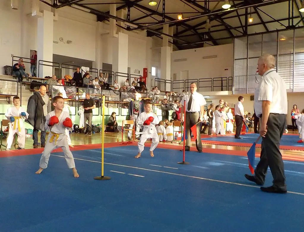 Karatecy TOP z 9 medalami Mikołajkowego Turnieju Karate