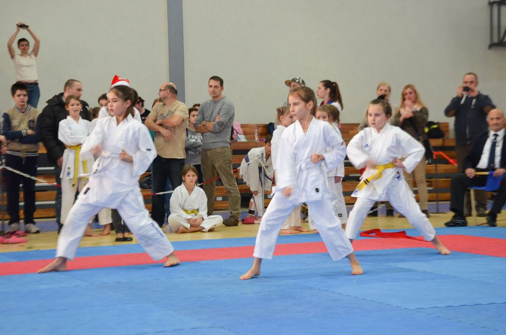 Karatecy TOP Bolesławiec z 14 medalami