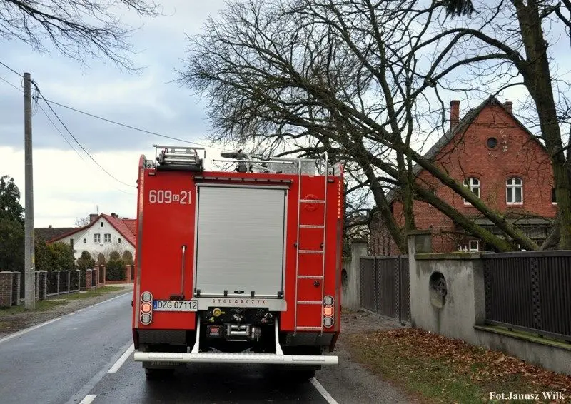 Silny wiatr powalił drzewo. Strażacy interweniowali