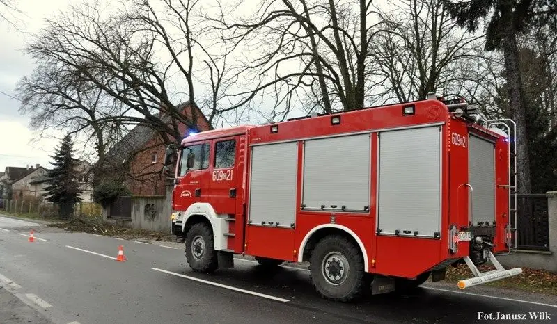 Silny wiatr powalił drzewo. Strażacy interweniowali