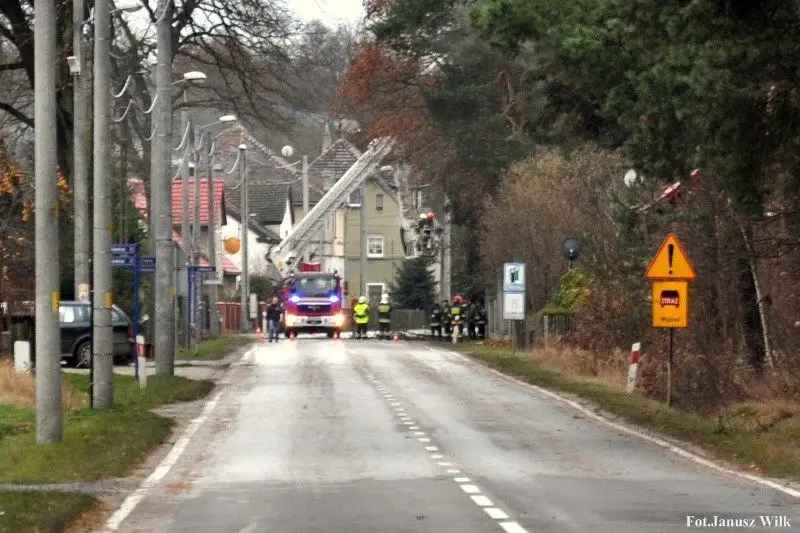 Silny wiatr powalił drzewo. Strażacy interweniowali