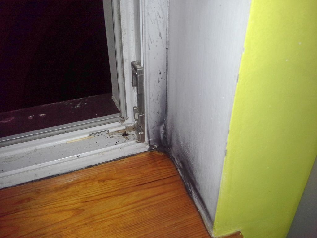 Telefon niemal nie wybuchł dziecku w ręce