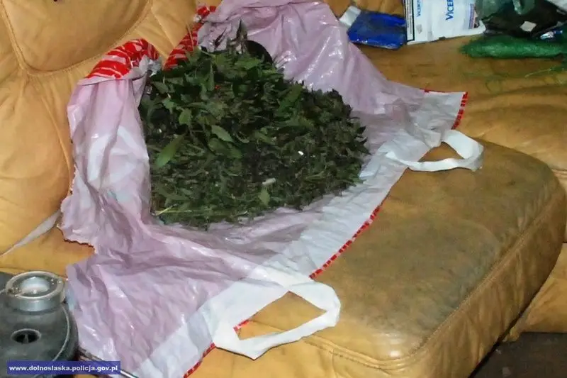 Wpadł z ponad 2 tys. porcji marihuany